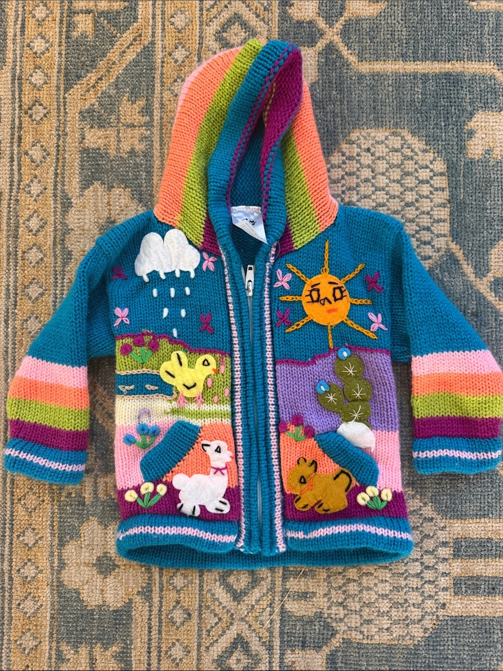 Peruvian Colorful Hand-Knit Animal & Sun Kids Hoodie